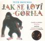 V�ce informac� o v�robku Jak se lov� gorila - P�sni�ky ze slabik��e Pavla �ruta - CD
