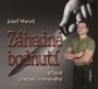 V�ce informac� o v�robku Z�hadn� bodnut� - P��pad pra�sk� krimin�lky - CD