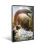 V�ce informac� o v�robku Jursk� masakr - DVD
