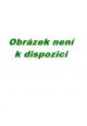 V�ce informac� o v�robku Angel Blues - Pavel And�l Pokorn� - 1 CD