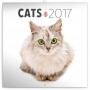 V�ce informac� o v�robku Kalend�� pozn�mkov� 2017 - Ko�ky