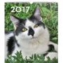 V�ce informac� o v�robku Kalend�� n�st�nn� 2017 - Ko�ky