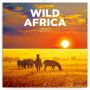 V�ce informac� o v�robku Kalend�� pozn�mkov� 2017 - Divok� Afrika