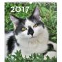 V�ce informac� o v�robku Kalend�� n�st�nn� 2017 - Ko�ky - prodlou�en� verze