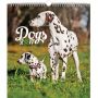 V�ce informac� o v�robku Kalend�� n�st�nn� 2017 - Psi - prodlou�en� verze