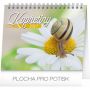V�ce informac� o v�robku Kalend�� stoln� 2017 - Kopretiny s cit�ty