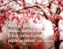 V�ce informac� o v�robku Magnet na lednici - Nech se v�st l�skou sv�ho srdce. �t�st� tv�ho �ivota p�jde za tebou.