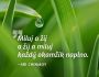 V�ce informac� o v�robku Magnet na lednici - Miluj a �ij a �ij a miluj ka�d� okam�ik naplno.