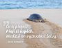 V�ce informac� o v�robku Magnet na lednici - Co si p�eje�? P�eji si �sp�ch. Medituj na vytrvalost �elvy.