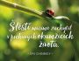 V�ce informac� o v�robku Magnet na lednici - �t�st� mus�me zachytit v prchav�ch okam�ic�ch �ivota