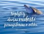 V�ce informac� o v�robku Magnet na lednici - Nepl�tvej dne�n� radost� p�em��len�m o z�t�ku