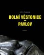 V�ce informac� o v�robku Doln� V�stonice - Pavlov