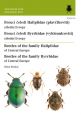 V�ce informac� o v�robku Brouci �eled� plav��kovit� a vyklenulcovit� / Beetles of the family Haliplidae and Byrrhidae