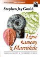 V�ce informac� o v�robku L�iv� kameny z Marr�ke�e