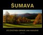 V�ce informac� o v�robku �umava - Sto �ivotn�ch obraz� Jana Kavaleho