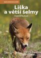 V�ce informac� o v�robku Li�ka a v�t�� �elmy