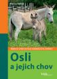 V�ce informac� o v�robku Osli a jejich chov