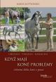 V�ce informac� o v�robku Kdy� kon� maj� probl�my - Celostn� l��ba kon� v praxi