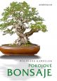 V�ce informac� o v�robku Pokojov� bonsaje