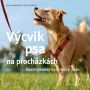 V�ce informac� o v�robku V�cvik psa na proch�zk�ch - �estit�denn� tr�ninkov� pl�n