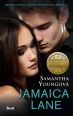 V�ce informac� o v�robku Jamaica Lane