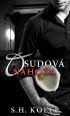 V�ce informac� o v�robku Osudov� n�hoda
