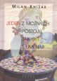 V�ce informac� o v�robku Jeden z mo�n�ch postoj� jak b�t s um�n�m