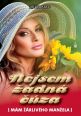 V�ce informac� o v�robku Nejsem ��dn� ��za - M�m ��rliv�ho man�ela