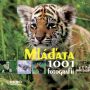 V�ce informac� o v�robku Ml��ata - 1001 fotgrafi�