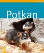 V�ce informac� o v�robku Potkan - Jak na to