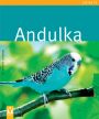 V�ce informac� o v�robku Andulka - Jak na to
