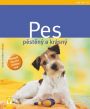 V�ce informac� o v�robku Pes p�st�n� a kr�sn� - Jak na to
