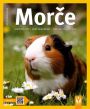 V�ce informac� o v�robku Mor�e - Spr�vn� p��e, rady odborn�ka...