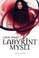 V�ce informac� o v�robku Labyrint mysli