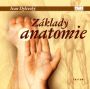 V�ce informac� o v�robku Z�klady anatomie