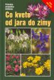 V�ce informac� o v�robku Co kvete od jara do zimy