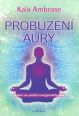 V�ce informac� o v�robku Probuzen� Aury - Cvi�en� na pos�len� energetick�ho t�la