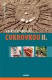 V�ce informac� o v�robku Praktick� pr�vodce cukrovkou II.