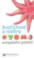 V�ce informac� o v�robku �ivo�ichov� a rostliny evropsk�ho pob�e��