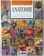 V�ce informac� o v�robku Anatomie - Ilustrovan� atlas