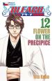V�ce informac� o v�robku Bleach 12: Flower on the Precipice