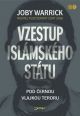V�ce informac� o v�robku Vzestup isl�msk�ho st�tu - Pod �ernou vlajkou teroru