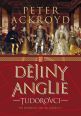 V�ce informac� o v�robku D�jiny Anglie - Tudorovci
