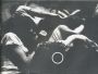 V�ce informac� o v�robku Zpr�va o B�l�m divadle