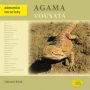 V�ce informac� o v�robku Agama vousat� - Abeceda teraristy