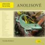 V�ce informac� o v�robku Anolisov� - Abeceda teraristy