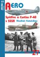 V�ce informac� o v�robku Spitfire a Curtiss P-40 v SSSR