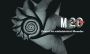 V�ce informac� o v�robku Dvacet let nakladatelstv� Meander
