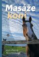 V�ce informac� o v�robku Mas�e kon�