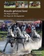 V�ce informac� o v�robku Kouzlo sp�e�en� kon� / The Magic od Harness / Die Magie der Pferdegespanne